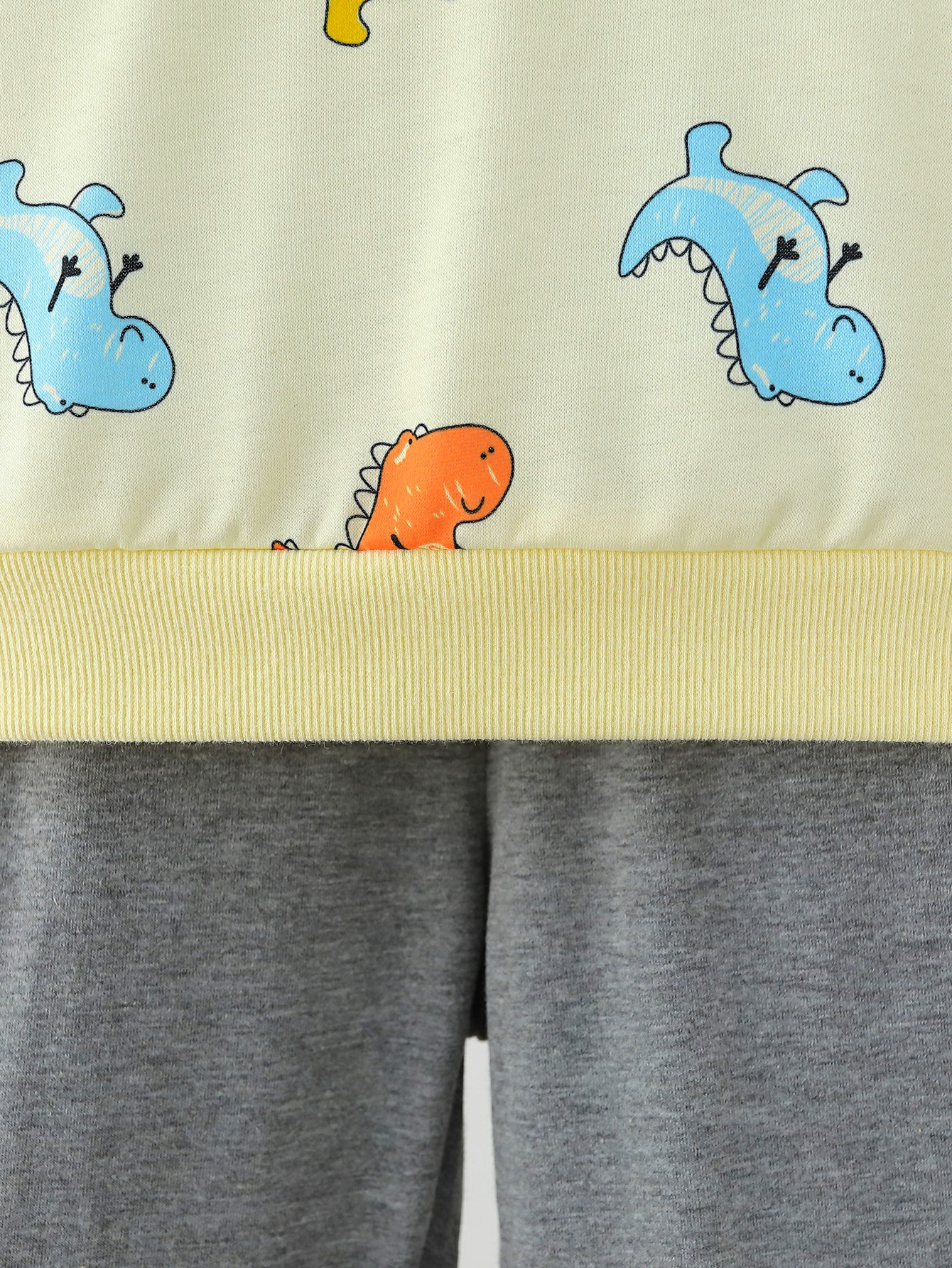 Kids Dinosaur Print Sweatshirt and Pants Set