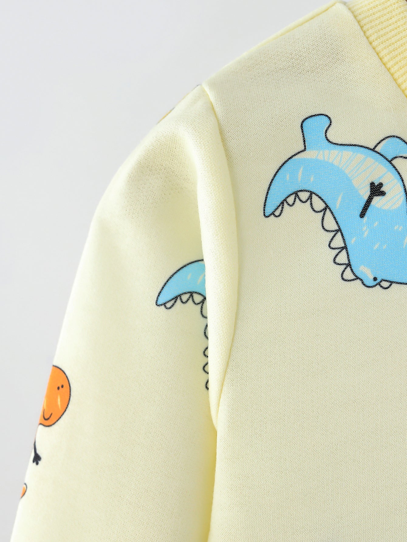 Kids Dinosaur Print Sweatshirt and Pants Set