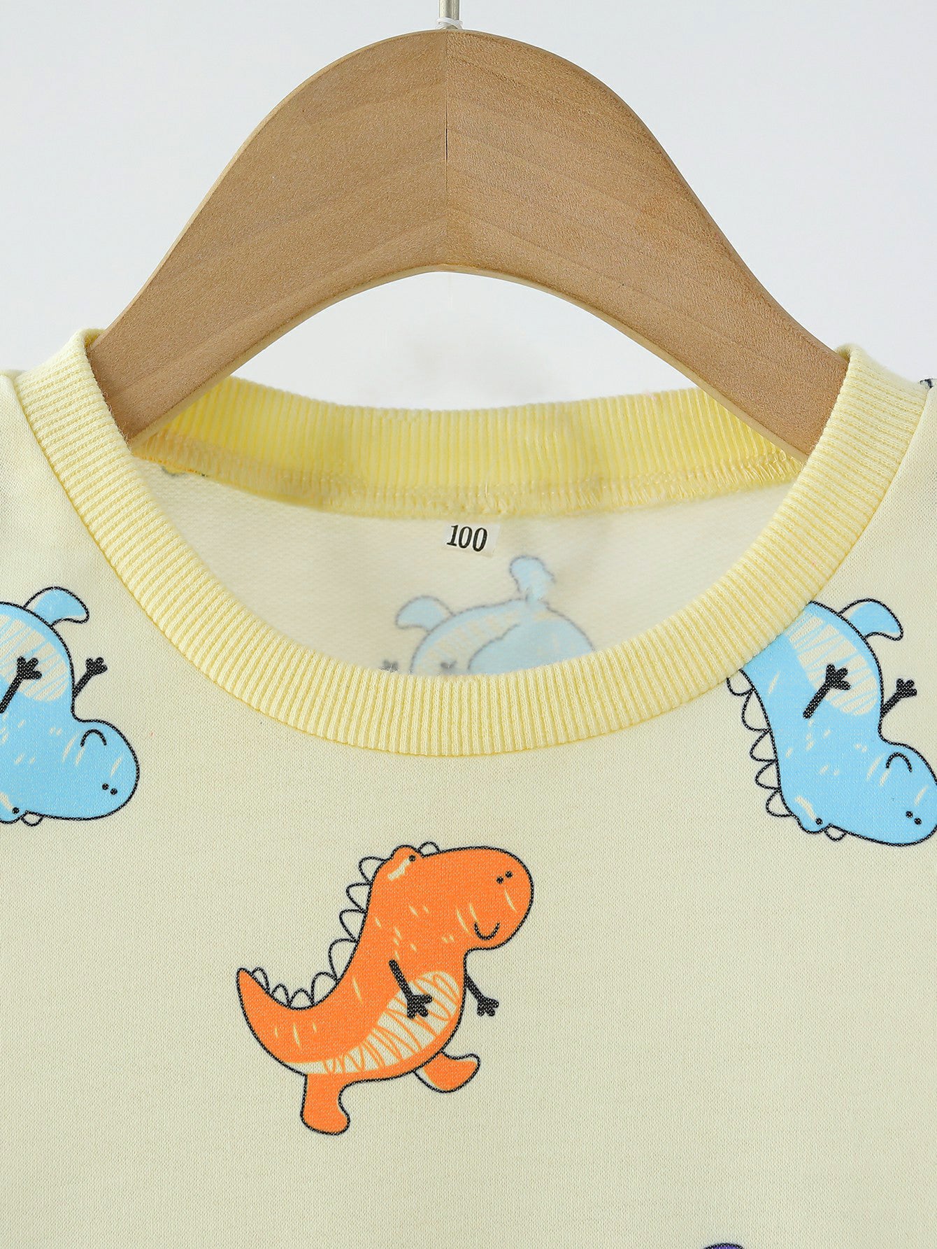 Kids Dinosaur Print Sweatshirt and Pants Set