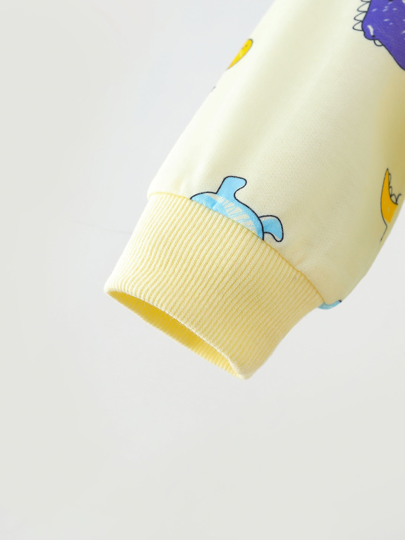 Kids Dinosaur Print Sweatshirt and Pants Set