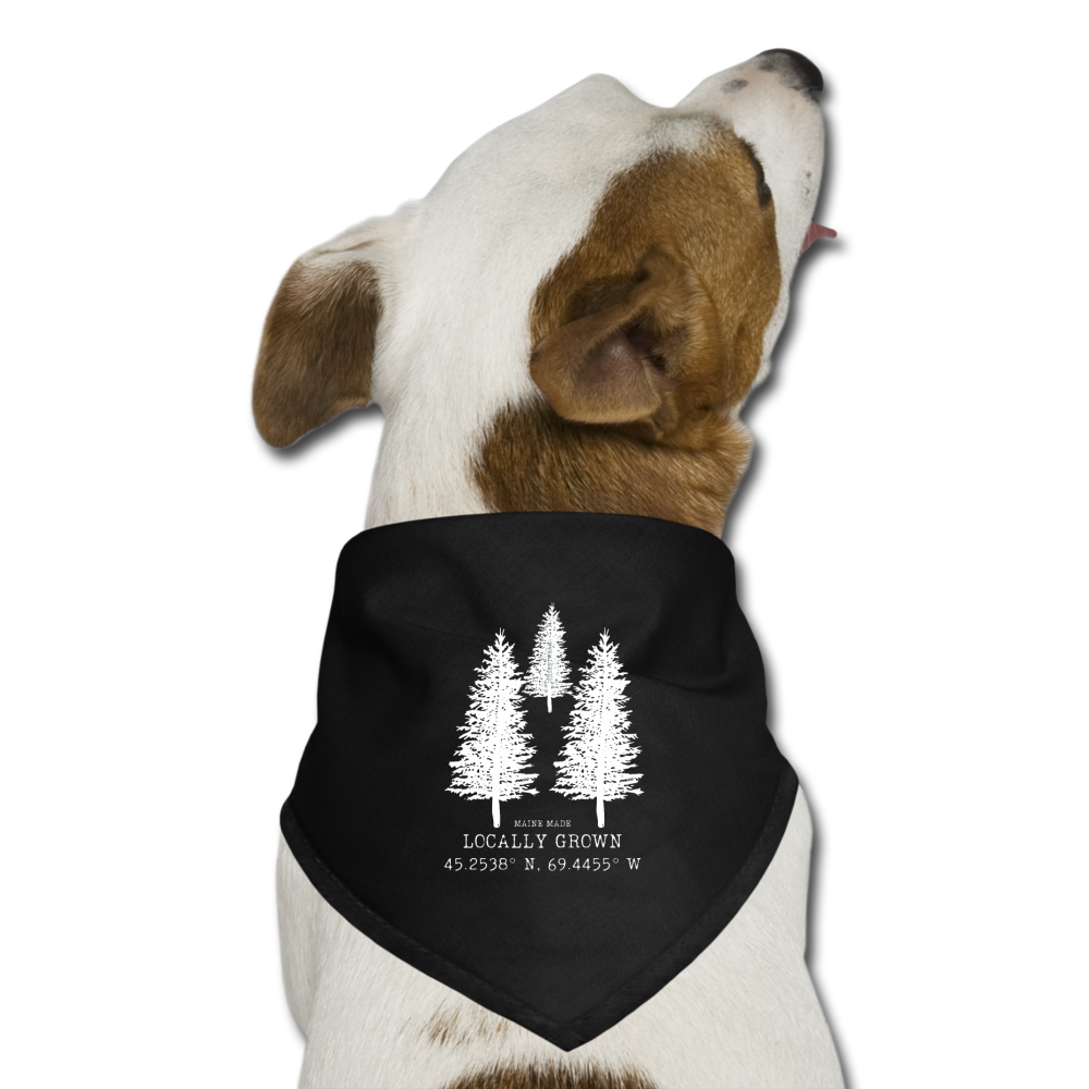 MAINE MADE, LOCALLY GROWN DOG BANDANA - black