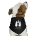 MAINE MADE, LOCALLY GROWN DOG BANDANA - black