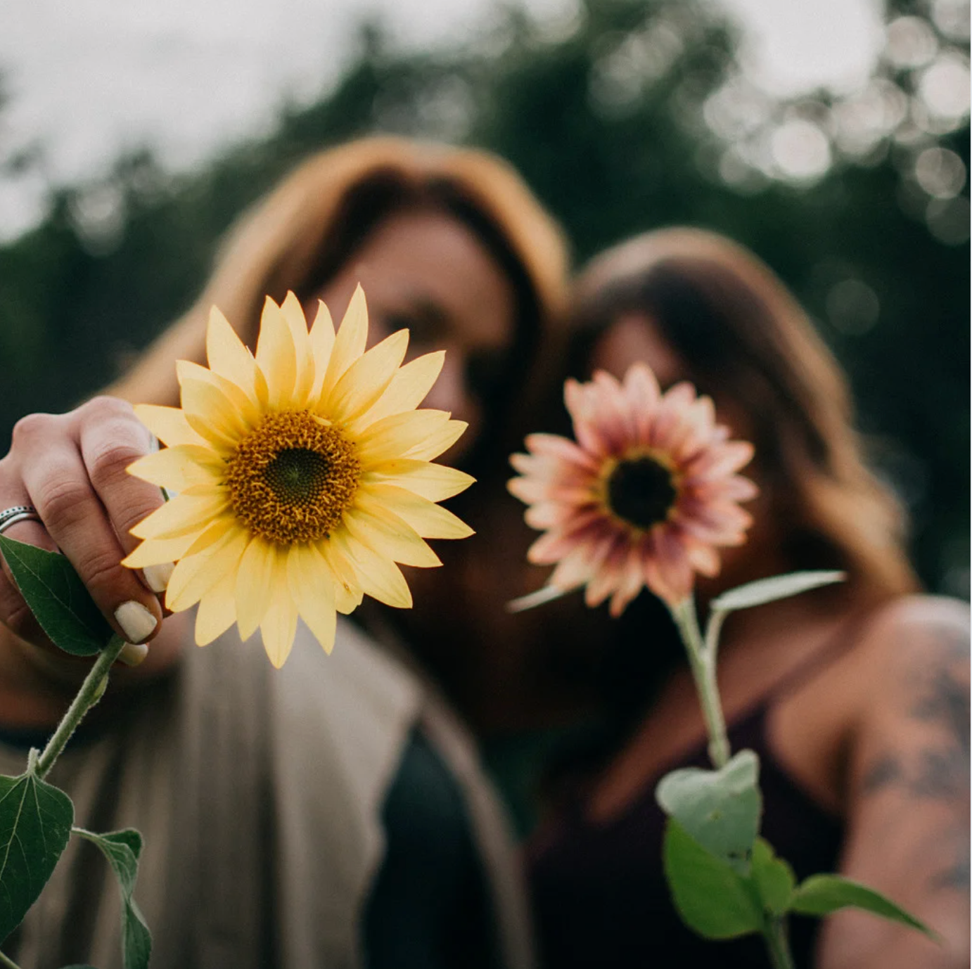 Women’s ethical streetwear collection by DissentWear — hoodies, tees, and statement fashion.