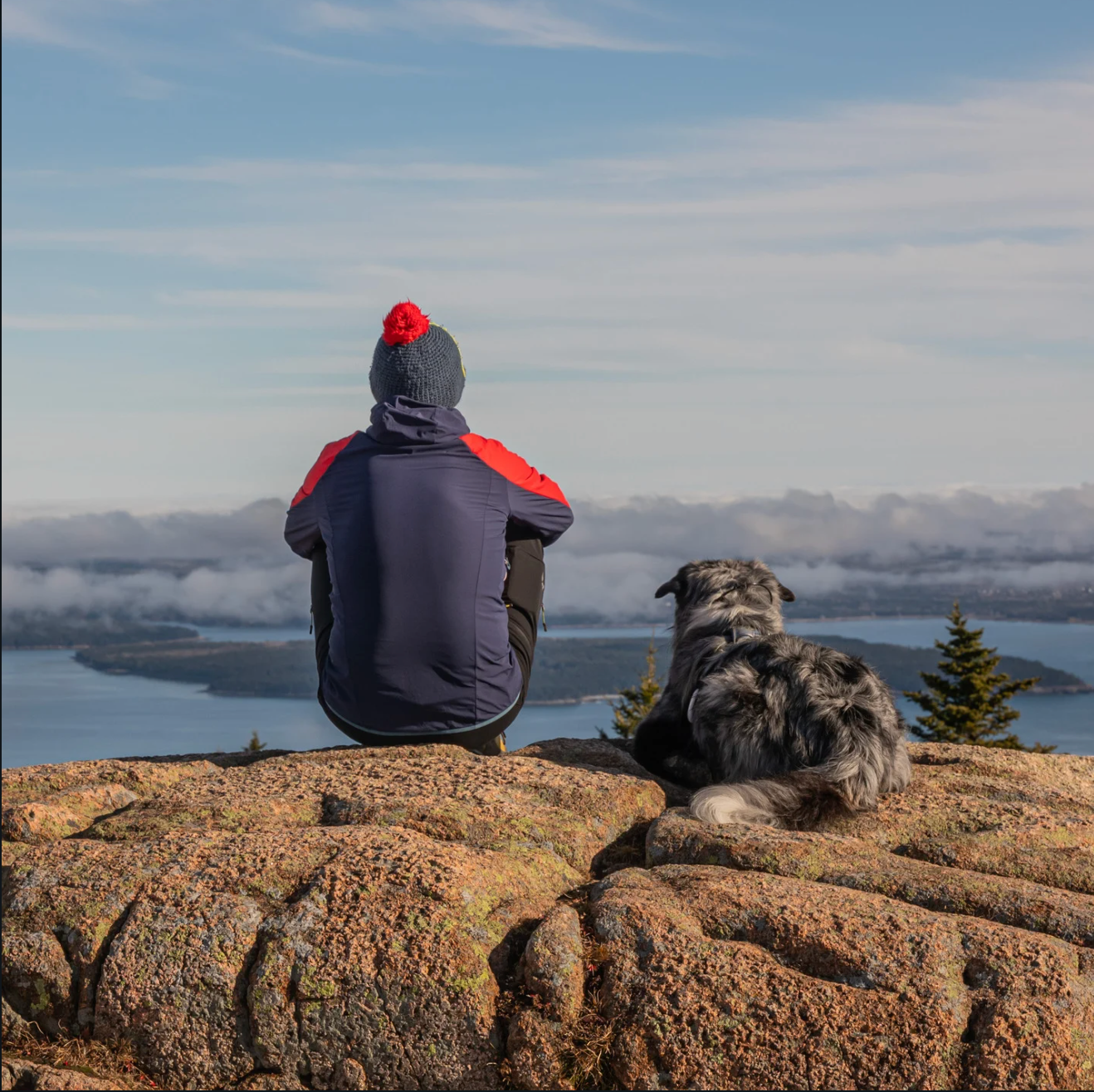 Wicked Good Vibes Collection