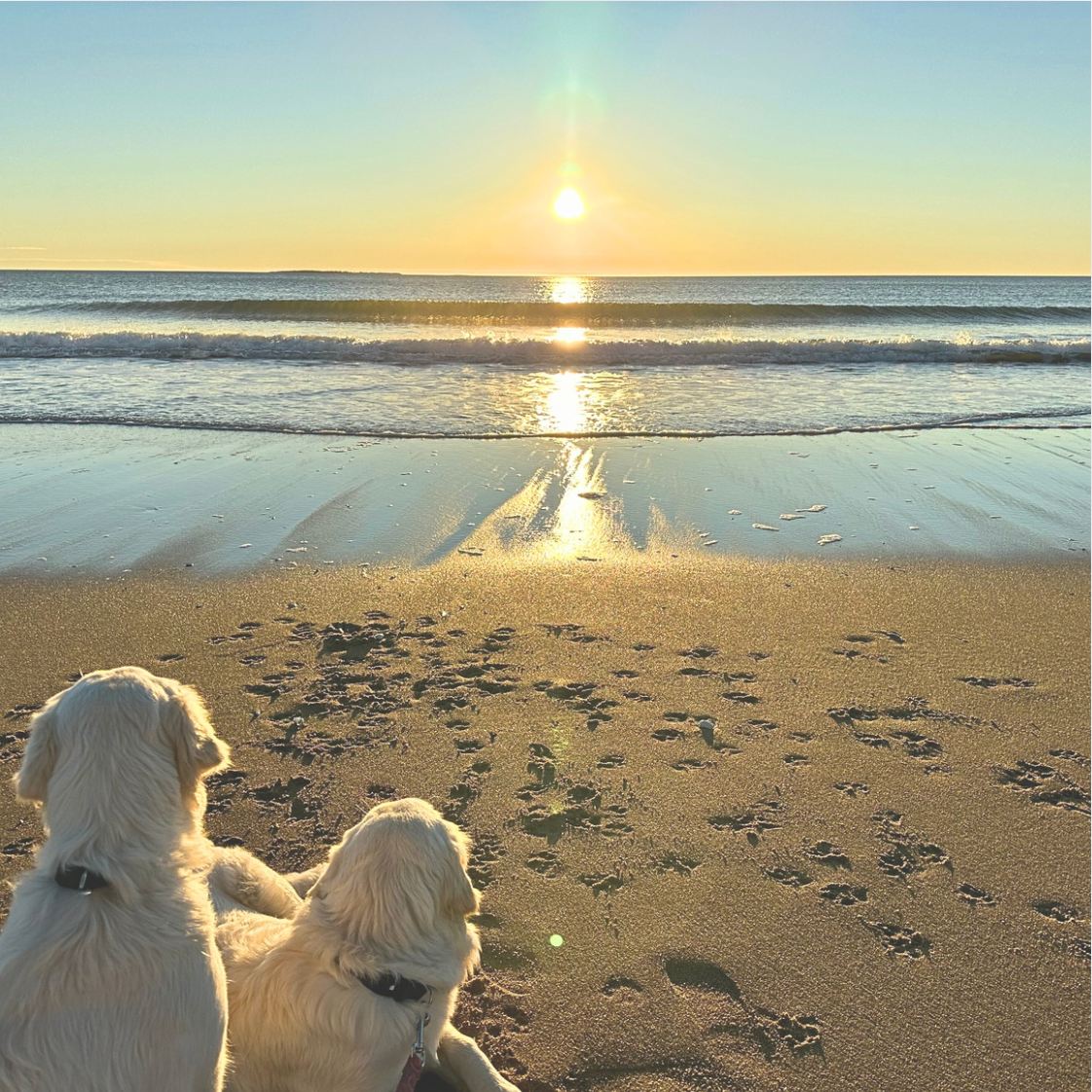 For the ones who don’t just go with the flow — they change it.