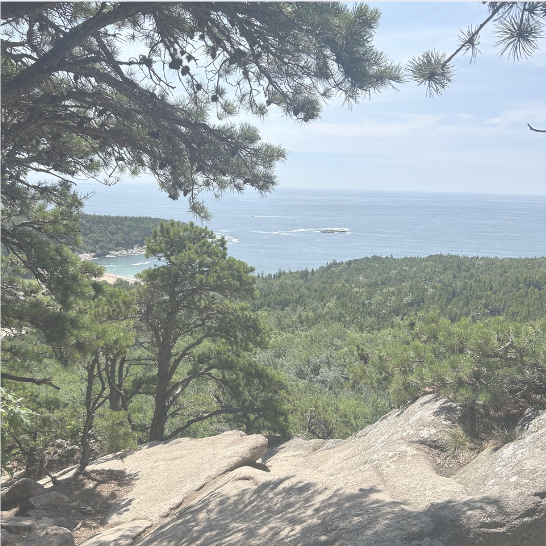 Maine Made Locally Grown &amp; Wicked Good Collection