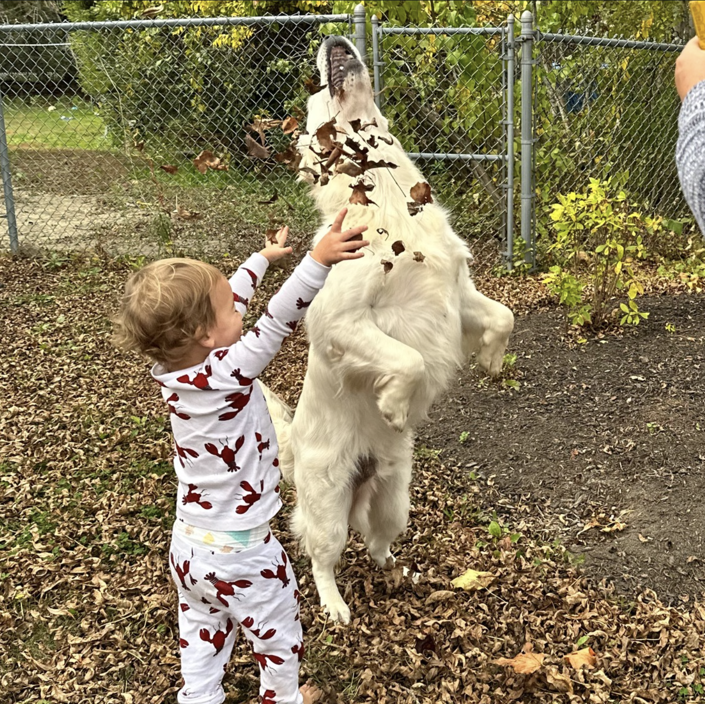 Dissent Wear Rest Well Dream Loud