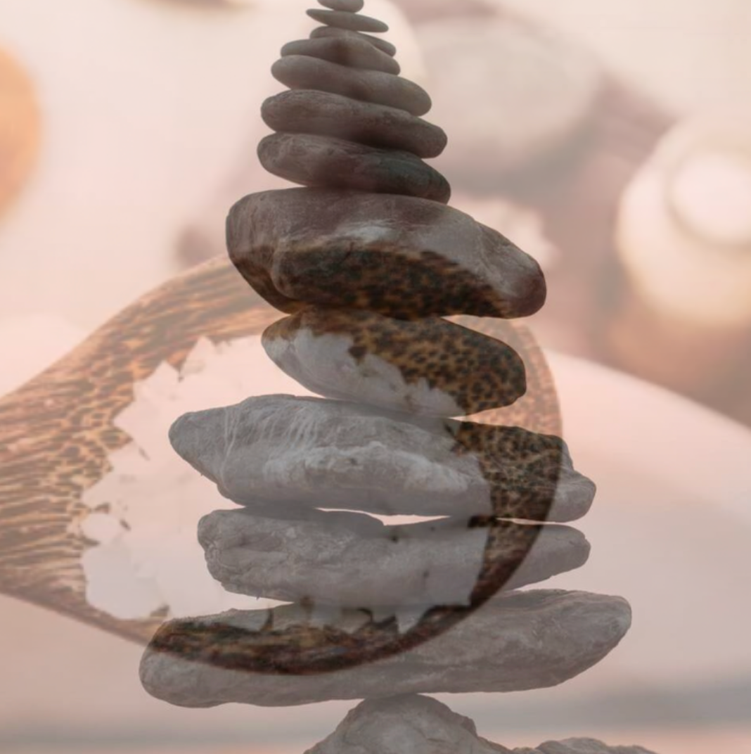 Wellness & Recovery