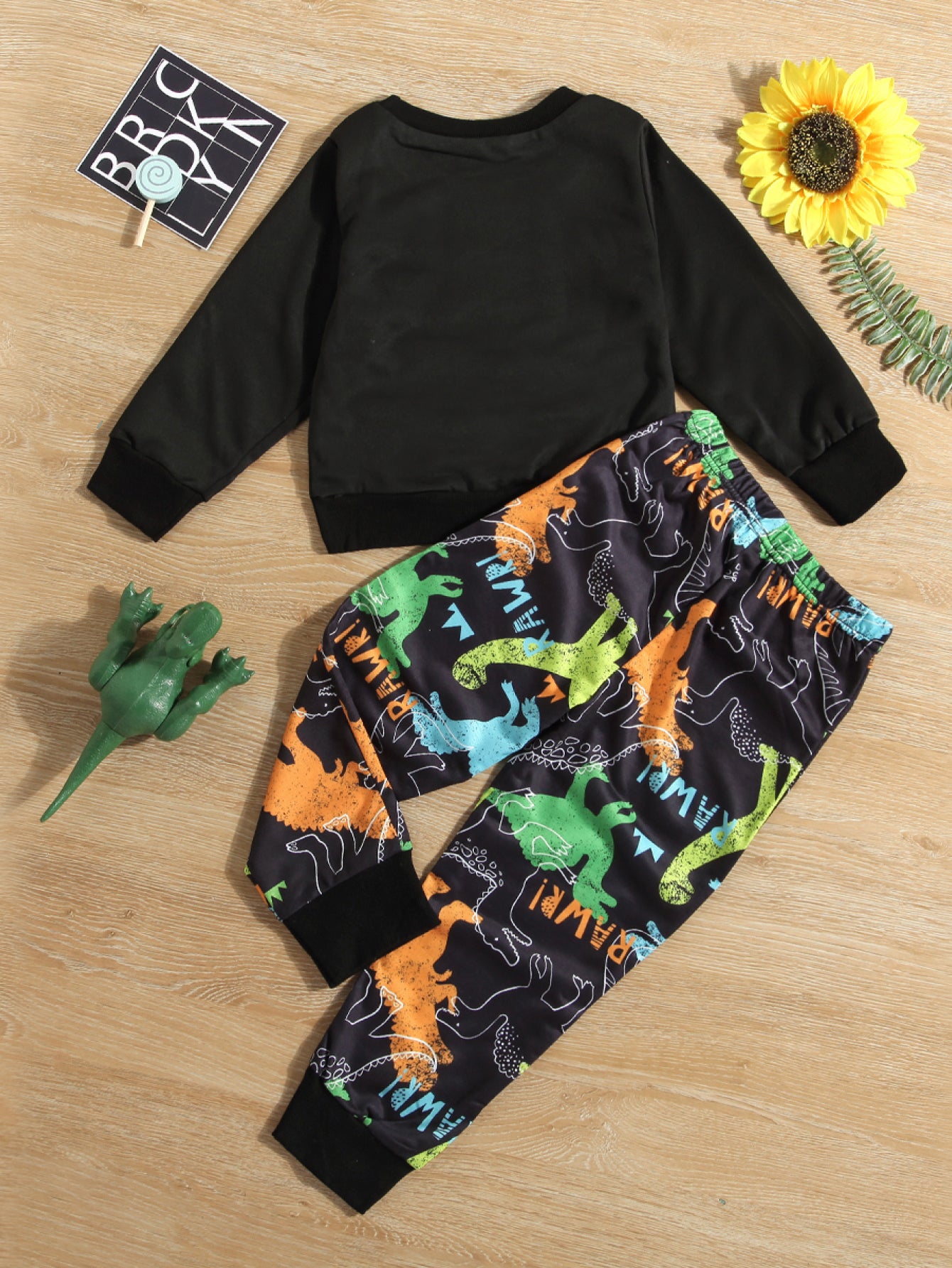 Dinosaur Graphic Sweatshirt and Pants Set